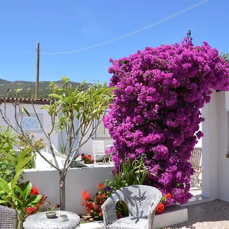 Ξενοδοχείο Il Timone Όλμπια